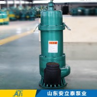 BQS40-10-3矿用防爆潜水排污泵专业定制