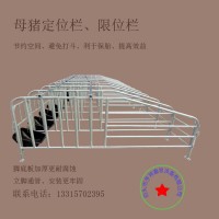 母猪限位栏定位栏养猪场设备带漏粪板猪用复合板配件带料槽限位栏