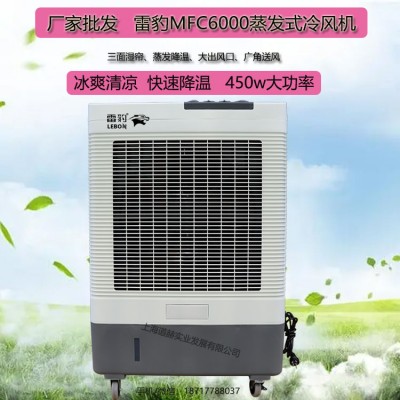 雷豹移动冷风机MFC6000厂家批发降温