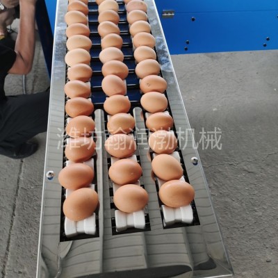 翰润渤FJJ-5型鸡蛋分级机 蛋品重量