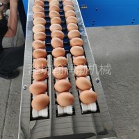翰润渤FJJ-5型鸡蛋分级机 蛋品重量分选机 蛋品分拣设备
