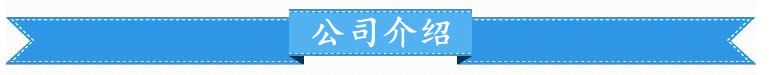 2 公司介绍