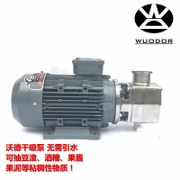 WD50-RXB口径50豆渣泵 酒糟输送泵，海绵球输送泵