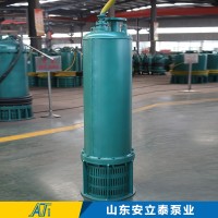 BQS70-100/2-37/N矿用防爆潜污泵质量完善