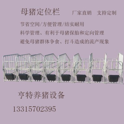 定位栏十栏位定位栏亨亚畜牧复合定
