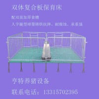厂家批发复合仔猪保育床双体塑料板仔猪保育床价格合理