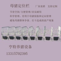供应母猪定位栏复合板定位栏落地定位栏热镀锌加厚批发养猪设备
