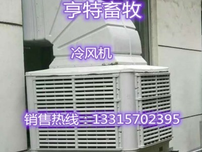 全新款工业冷风机猪舍用环保冷风机空调冷风机厂家直销价格优惠