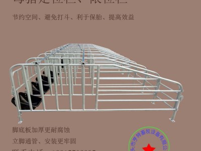 母猪限位栏定位栏养猪场设备带漏粪板猪用复合板配件带料槽限位栏