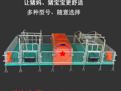 母猪用产保一体分娩床国标热镀锌管母猪产床3.6米双体单体加工