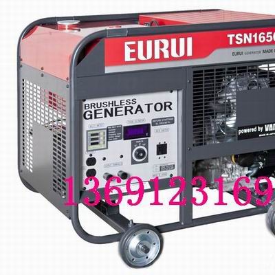 日本进口东洋发电机TSN16500E