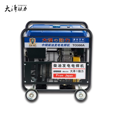 大泽动力300A柴油发电电焊机