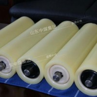 山东中煤生产-尼龙托辊,尼龙托辊-质量,厂家直销-尼龙托辊