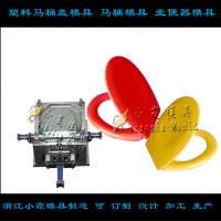 全自动马桶盖模具	马桶盖模具	智能马桶盖模具