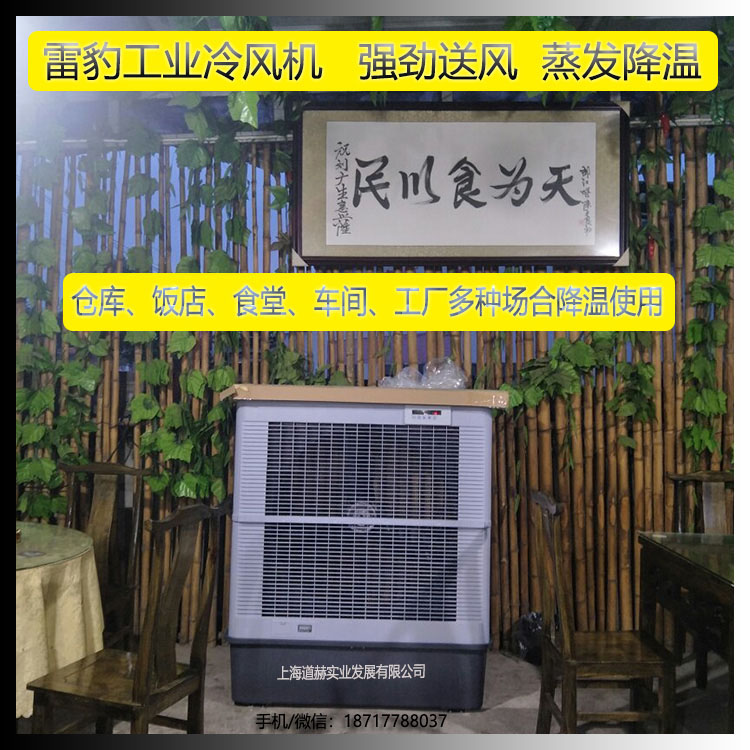 雷豹工业冷风机700w1