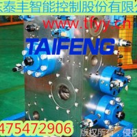现货供应泰丰YN32-315HGCV均为Dg25