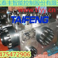 泰丰现货供应YN32-100FCV不带快速缸