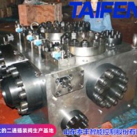 TAIFENG--63吨常规XNB32-63CV二通插装阀