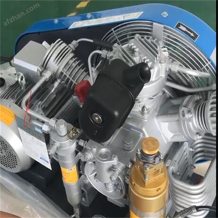 空气压缩机BAUER200-TE充气泵+自动停机排污