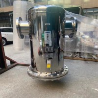 不锈钢快开式过滤器 不锈钢保安过滤器