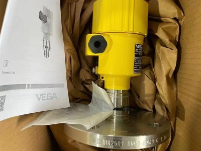 VEGA61工作原理